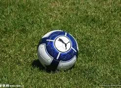 米兰冬季引,援计划锁定,中锋与后卫,MK体育平台,MK体育官方网站,MK体育登录入口,MK体育app下载