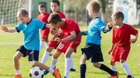 MK体育 产品 114408 nzy