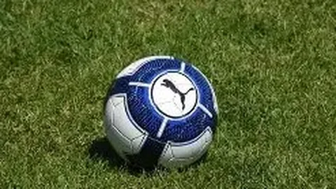 MK体育 资讯 113656 1c6