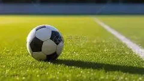 鄧謝配在中國羽球賽中逆轉戰勝大馬隊，連續7分逆風轉勝入八強