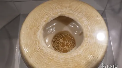 2026年世界杯D组分析：美国居首，巴拉圭回归，附加赛悬念揭