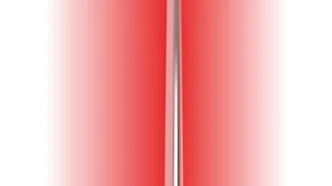 体育 1，MK体育直播，01322 88